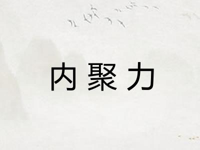 内聚力