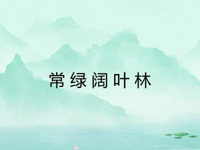 常绿阔叶林