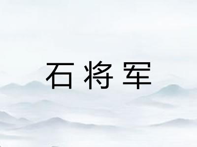 石将军 石将军