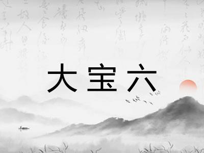 大宝六