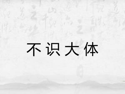 不识大体