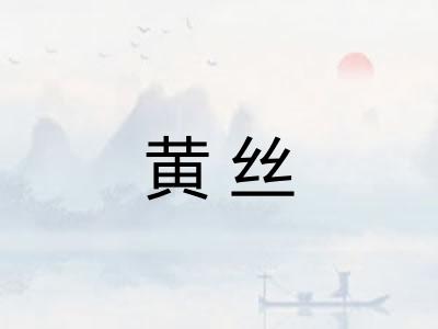 黄丝 黄丝
