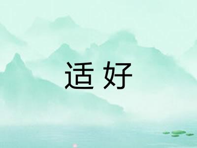 适好 适好