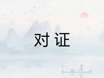 对证