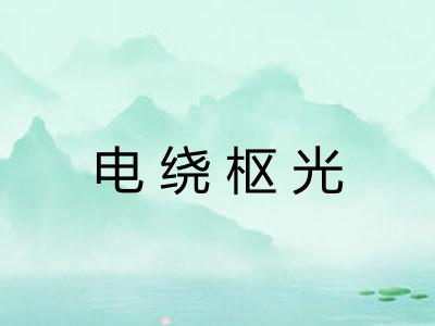 电绕枢光 电绕枢光