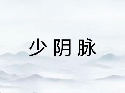 少阴脉 少阴脉