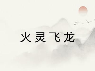 火灵飞龙 火灵飞龙