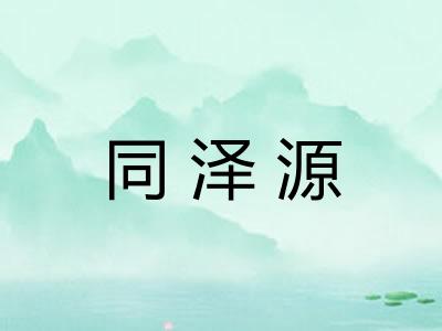 同泽源