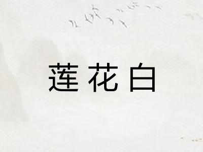 莲花白 莲花白