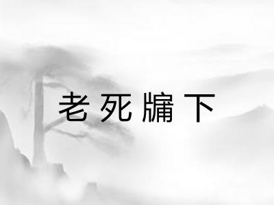 老死牖下