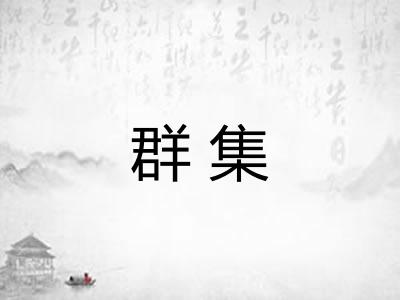 群集 群集