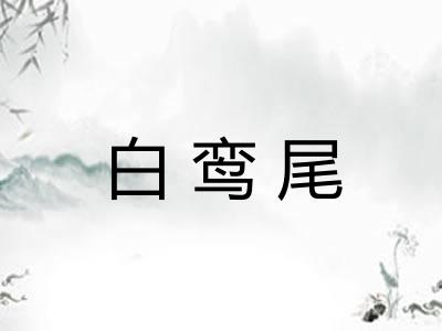 白鸾尾