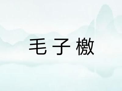 毛子檄