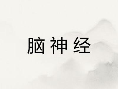 脑神经