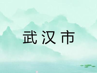 武汉市