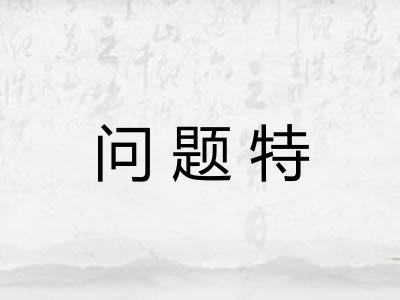 问题特