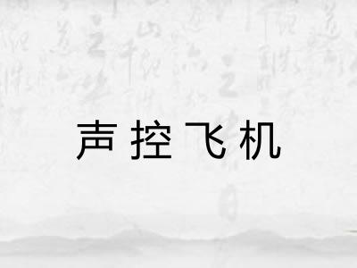 声控飞机 声控飞机