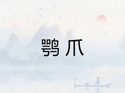 鹗爪