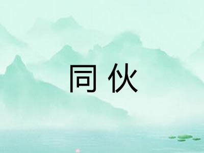同伙 同伙