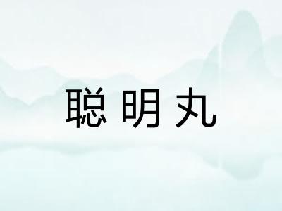 聪明丸 聪明丸