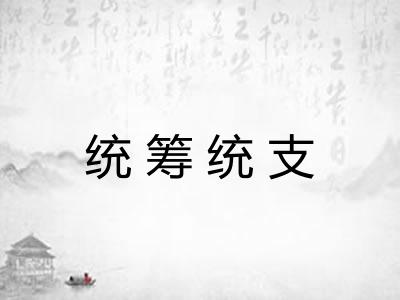 统筹统支