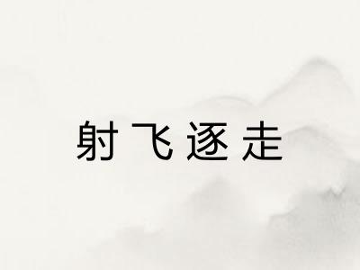 射飞逐走