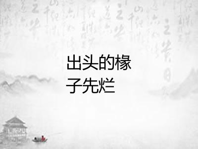 出头的椽子先烂