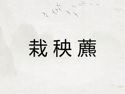 栽秧藨