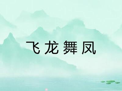 飞龙舞凤