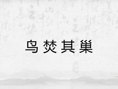 鸟焚其巢