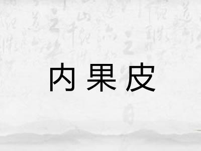 内果皮