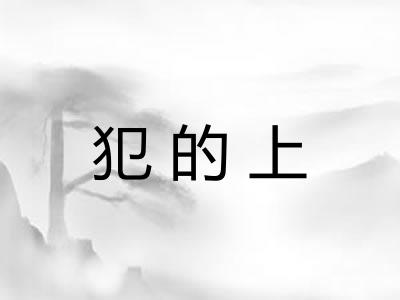 犯的上