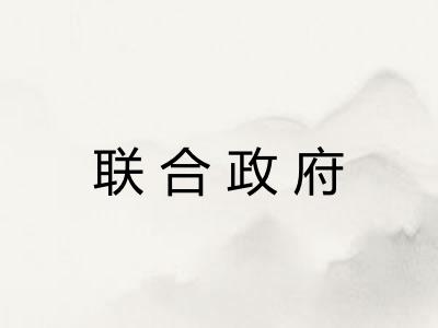 联合政府
