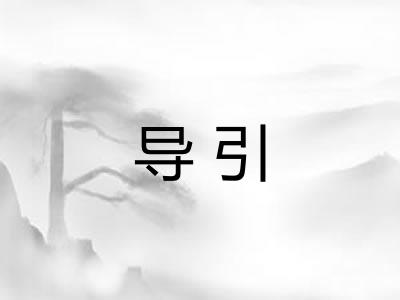 导引 导引