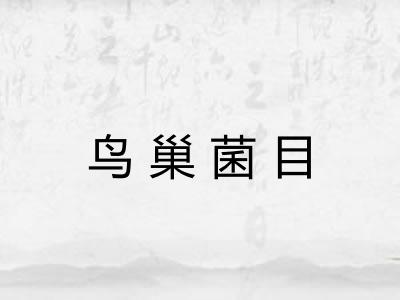 鸟巢菌目