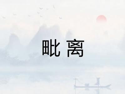 毗离