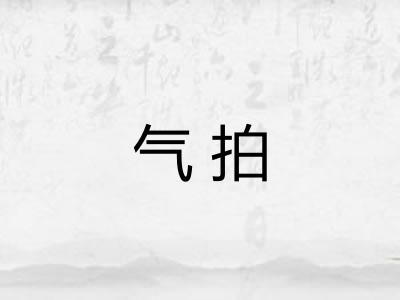气拍