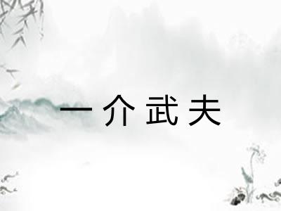 一介武夫