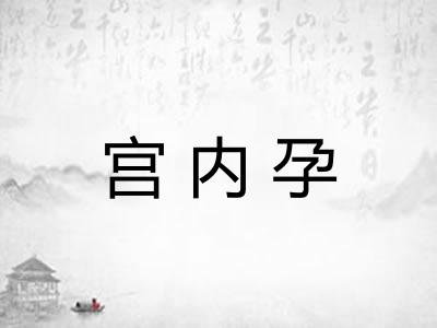 宫内孕
