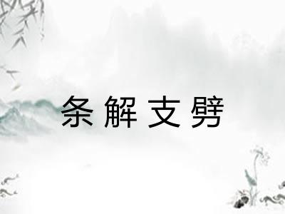 条解支劈