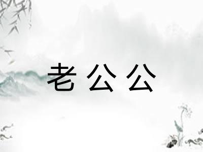 老公公