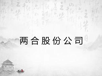 两合股份公司