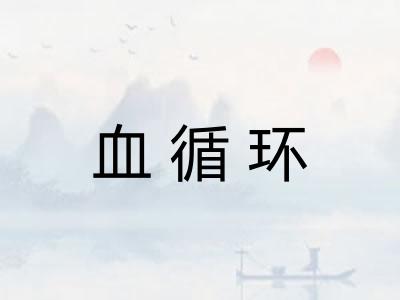血循环