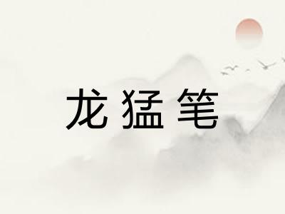 龙猛笔
