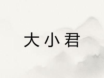 大小君 大小君