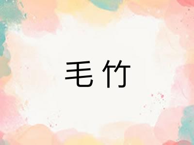 毛竹 毛竹