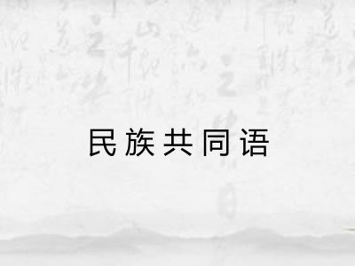 民族共同语