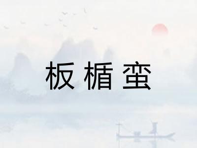 板楯蛮 板楯蛮