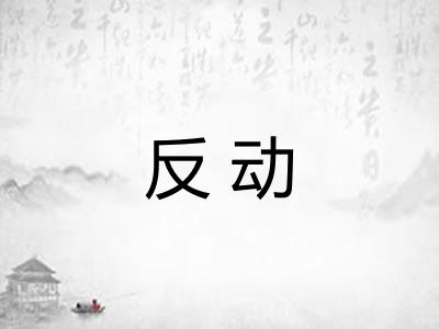 反动 反动