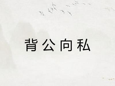 背公向私